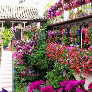 Puerta A La Mezquita Apartment