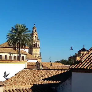 La Mirada De La Juderia Apartment